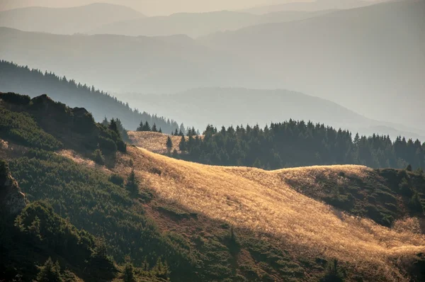 Mountain peaks and a forested alpine valley